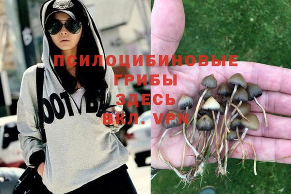 Альфа ПВП Сафоново