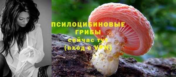 Альфа ПВП Саяногорск