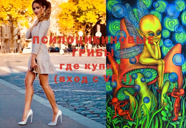 МДПВ Рославль