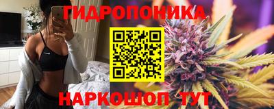 дмт Волгодонск