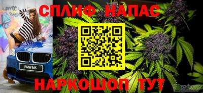 гашишное масло Берёзовский