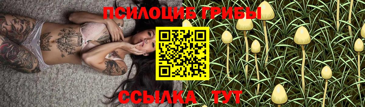 Ноябрьск  Псилоцибиновые грибы Cubensis  Вход с VPN  Псилоцибиновые грибы мицелий 