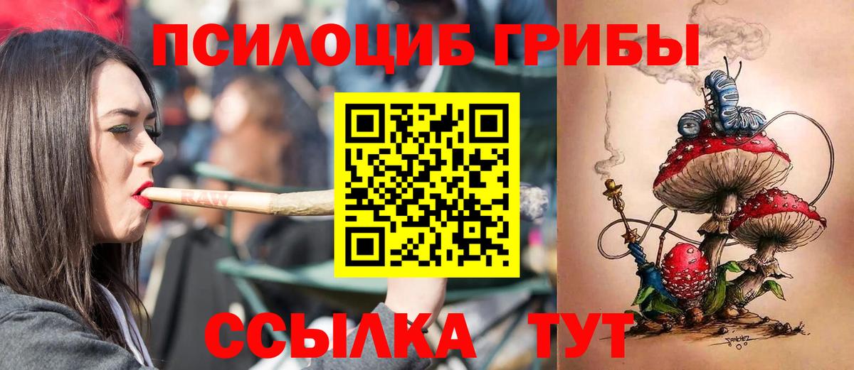 Псилоцибиновые грибы Psilocybe Ноябрьск