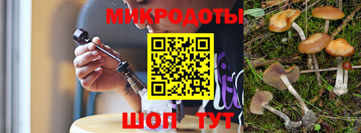 Псилоцибиновые грибы MAGIC MUSHROOMS  Галлюциногенные грибы Cubensis  Ноябрьск 