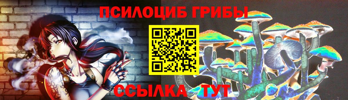 Ноябрьск  Галлюциногенные грибы ЛСД  Вход с VPN  Псилоцибиновые грибы Psilocybe 